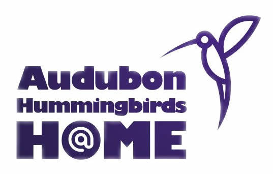hummingbirds at home audubon pennsylvania