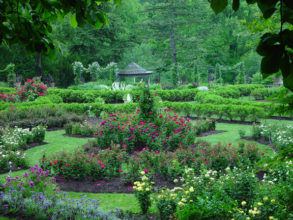 Morris Arboretum - Local Destination! | Audubon Pennsylvania