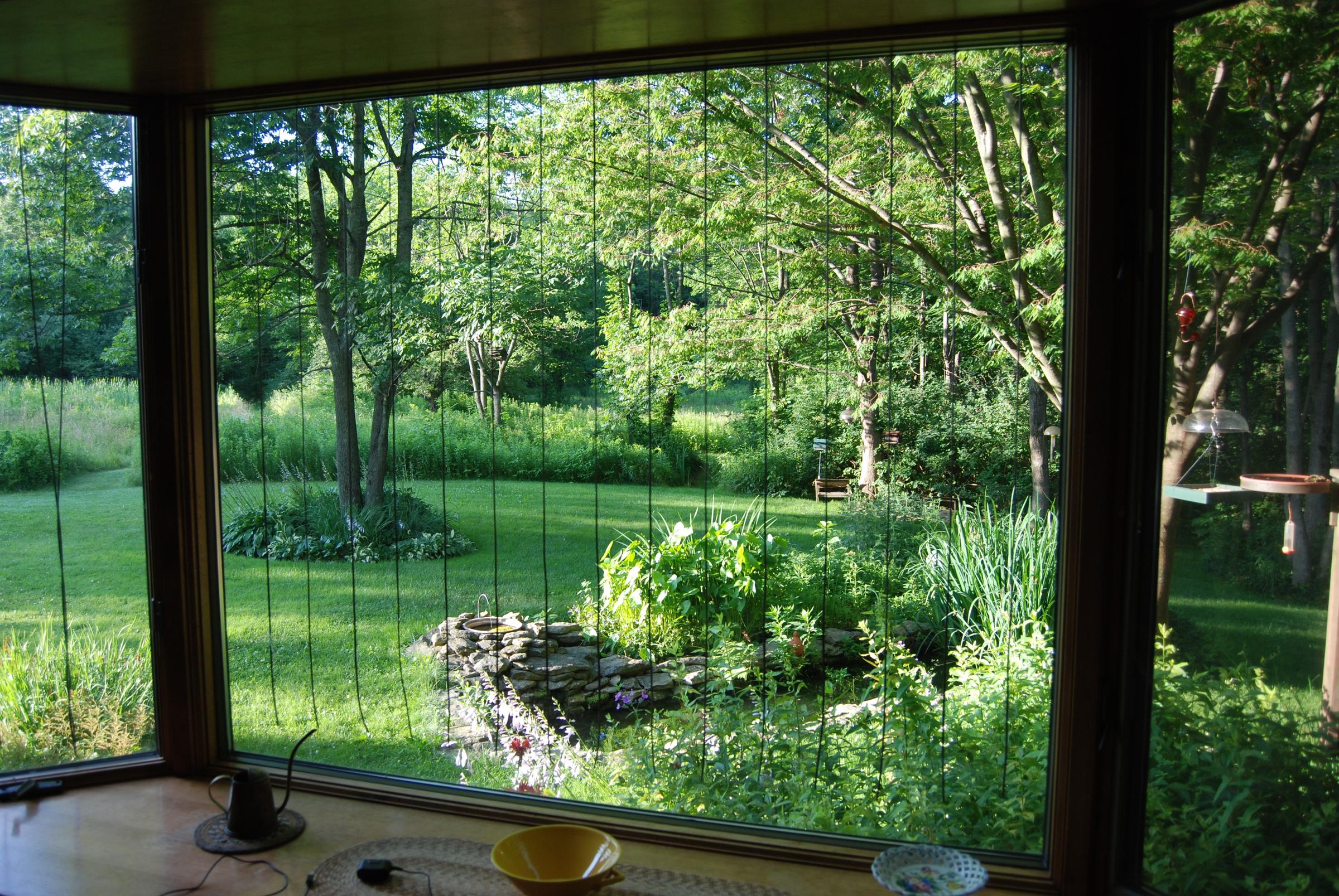 Protecting Birds from Striking Glass Windows Audubon Pennsylvania