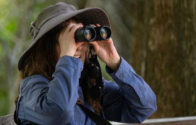 Introduction to Birding at the John James Audubon Center