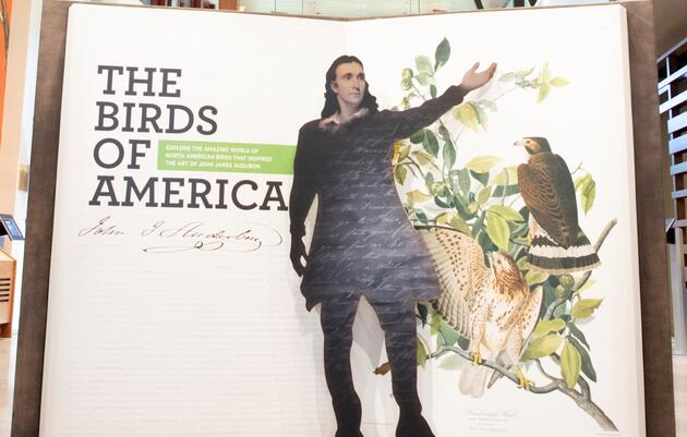 The Birds of America Page Turning at the John James Audubon Center