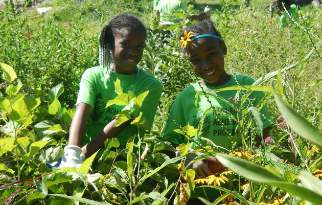 Habitat Team Volunteers in Patterson Park 
