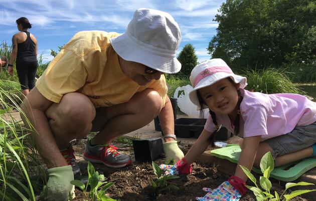 Habitat Team Volunteers in Patterson Park 