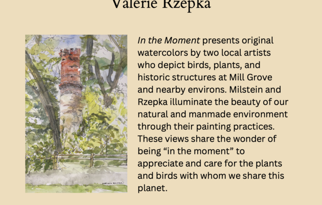 Meet the Artists in the "In the Moment" Art Exhibition at the John James Audubon Center