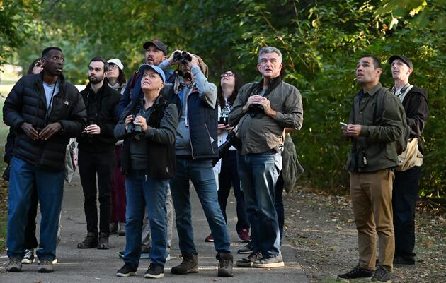 Intro to Birding - Great Backyard Bird Count at the Parkway Central Library in Philadelphia