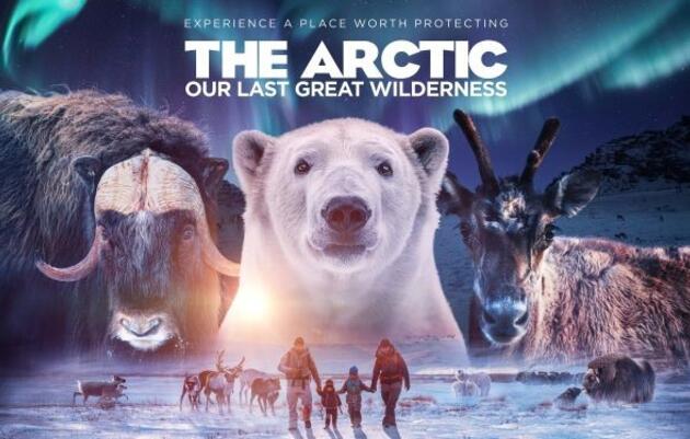 Birds and Brews: Protecting the Arctic at the John James Audubon Center