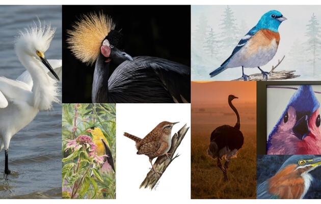 Opening Reception for Take Flight: Birds of the World at the John James Audubon Center