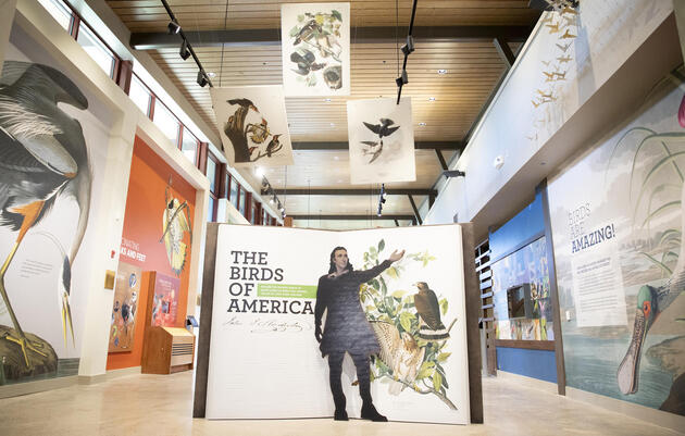 The Birds of America Page Turning and Bird Ambassador at the John James Audubon Center