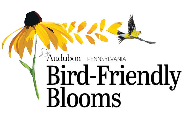 Bird-Friendly Blooms