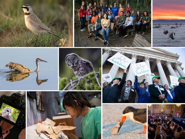 Top 5 Audubon Pennsylvania Wins for Birds in 2019