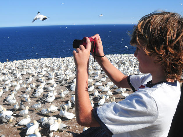 Inspire Children to Love Bird Photography