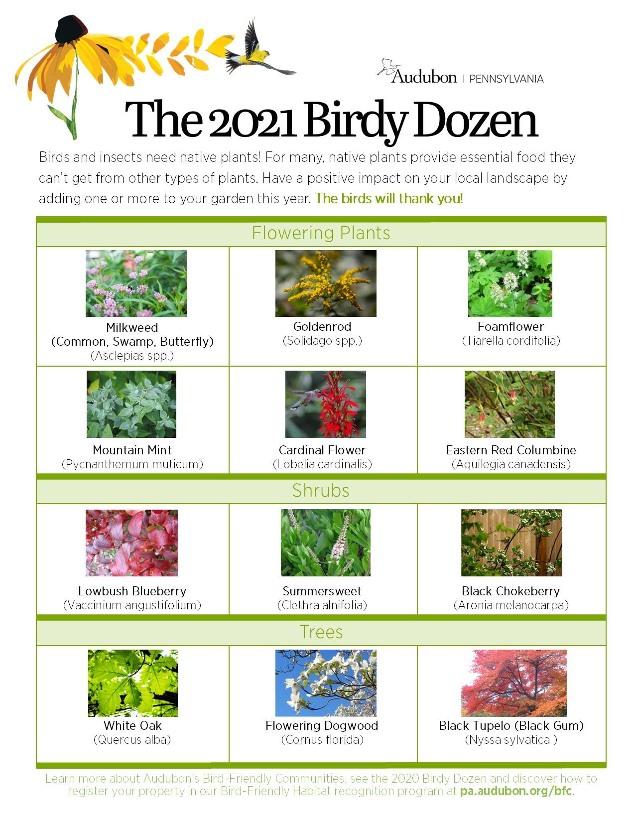 2021 Birdy Dozen