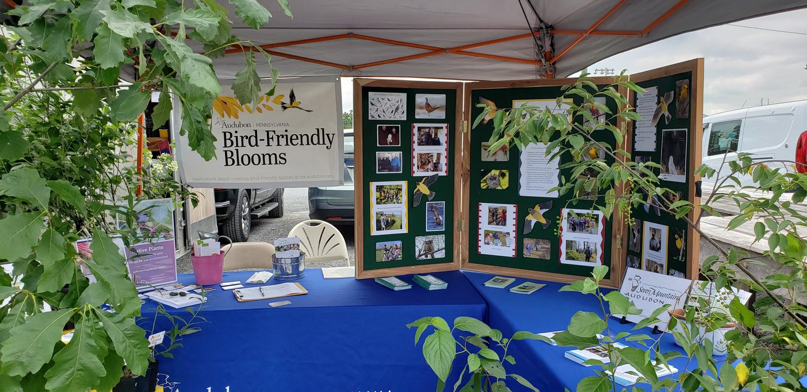 Bird-Friendly Blooms Table