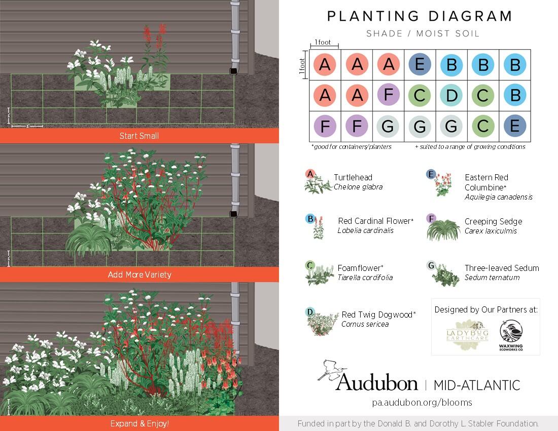 DIY Garden Designs | Audubon Pennsylvania